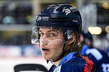 Eishockey, Herren, DEL, Saison 2021-2022, Playoff, Viertelfinale, Spiel 1, Straubing Tigers - Adler Mannheim, 10.04.2022