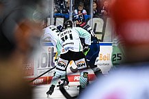 Eishockey, Herren, DEL, Saison 2021-2022, 24.10.2021
