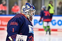 Eishockey, Herren, DEL, Penny DEL, Saison 2022-2023, Hauptrunde, Straubing Tigers - Eisbären Berlin, 37. Spieltag, 30.12.2022