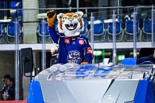 Eishockey, Herren, CHL, Champions Hockey League, Saison 2022-2023, Achtelfinale, Straubing Tigers - Frölunda HC Göteborg, Rückspiel, 22.11.2022