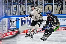 Eishockey, Herren, Penny DEL, 47. Spieltag, Saison 2023-2024, Straubing Tigers - Koelner Haie,18.02.2024