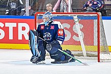 Eishockey, Men, CHL, Champions Hockey League, Regular Saison 2024-25, Game Day 2, Straubing Tigers - Skelleftea AIK, 08.09.2024