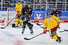 Eishockey, Herren, Penny DEL, 20. Spieltag, Saison 2023-2024, Straubing Tigers - Duesseldorfer EG,19.11.2023