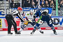 Eishockey, Herren, Penny DEL, Playoffs, Halbfinale, Spiel 2, Saison 2023-2024, Straubing Tigers - Eisbären Berlin, n03.04.2024