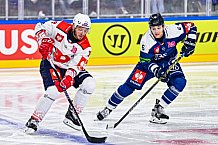 Eishockey, Men, CHL, Champions Hockey League, Regular Saison 2024-25, Game Day 4, Straubing Tigers - Dynamo Pardubice, 15.09.2024