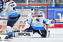 Eishockey, Herren, Penny DEL, Saison 2024-2024, Vorbereitung, Gäubodencup 2024, Straubing Tigers - ERC Ingolstadt, 29.08.2024