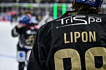 Eishockey, Herren, Penny DEL, 50. Spieltag, Saison 2023-2024, Straubing Tigers - Eisbären Berlin,01.03.2024