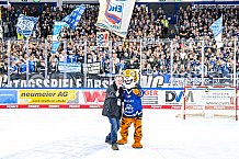 Eishockey, Men, DEL, Penny DEL, Hauptrunde Saison 2024-25, 1. Spieltag, Straubing Tigers - Düsseldorfer EG, 01.01.2021