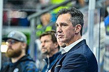 Eishockey, Herren, Penny DEL, 5. Spieltag, Saison 2023-2024, Straubing Tigers - EHC Red Bull Muenchen,29.09.2023