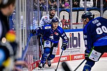 Eishockey, Herren, Penny-DEL, DEL, Saison 2022-2023, Hauptrunde, Straubing Tigers - ERC Ingolstadt Panther, 43. Spieltag, 15.01.2023