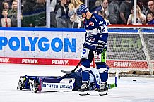 Eishockey, Herren, DEL, Penny DEL, Saison 2023-2024, Straubing Tigers, öffentliches Eistraining,06.08.2023