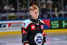 Eishockey, Men, CHL, Champions Hockey League, Regular Saison 2024-25, Game Day 1, Straubing Tigers - SonderjyskE Vojens, 06.09.2024