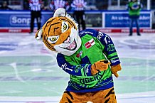 Eishockey, Herren, DEL, Saison 2022-2023, Hauptrunde, Straubing Tigers - Schwenninger Wild Wings, 55. Spieltag, 22.02.2023