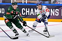 Eishockey, CHL, Champions Hockey League, 2. Spieltag, Saison 2022-2023, Gruppe F, Färjestad Karlstad - Straubing Tigers, 03.09.2022