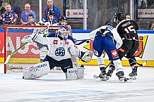 Eishockey, Men, CHL, Champions Hockey League, Regular Saison 2024-25, Game Day 1, Straubing Tigers - SonderjyskE Vojens, 06.09.2024