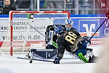 Eishockey, Herren, Penny DEL, 47. Spieltag, Saison 2023-2024, Straubing Tigers - Koelner Haie,18.02.2024