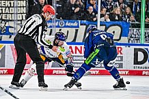 Eishockey, Men, DEL, Penny DEL, Hauptrunde Saison 2024-25, 5. Spieltag, Straubing Tigers - Eisbären Berlin, 01.10.2024