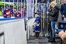 Eishockey, Herren, Penny DEL, 49. Spieltag, Saison 2023-2024, Straubing Tigers - Frankfurter Löwen,25.02.2024