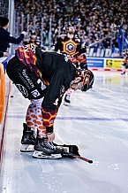 Eishockey, Herren, Penny DEL, DEL, Saison 2022-2023, Playoffs, Viertelfinale, Spiel 5, Straubing Tigers - Grizzlys Wolfsburg, 24.03.2023