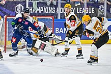Eishockey, Men, CHL, Champions Hockey League, Regular Saison 2024-25, Game Day 2, Straubing Tigers - Skelleftea AIK, 08.09.2024