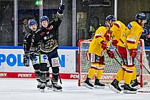 Eishockey, Herren, Penny DEL, 20. Spieltag, Saison 2023-2024, Straubing Tigers - Duesseldorfer EG,19.11.2023