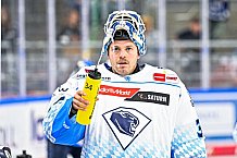 Eishockey, Herren, Penny DEL, Saison 2024-2024, Vorbereitung, Gäubodencup 2024, Straubing Tigers - ERC Ingolstadt, 29.08.2024