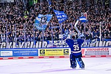 Eishockey, Herren, Penny DEL, DEL, Saison 2022-2023, Playoffs, Viertelfinale, Spiel 5, Straubing Tigers - Grizzlys Wolfsburg, 24.03.2023