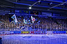 Eishockey, Herren, Penny DEL, Playoffs, Halbfinale, Spiel 4, Saison 2023-2024, Straubing Tigers - Eisbären Berlin, n07.04.2024