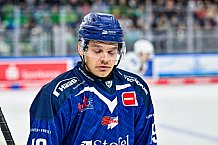 Eishockey, Men, DEL, Penny DEL, Hauptrunde Saison 2024-25, 8. Spieltag, Straubing Tigers - Adler Mannheim, 11.10.2024