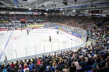 Eishockey, Herren, Penny DEL, 5. Spieltag, Saison 2023-2024, Straubing Tigers - EHC Red Bull Muenchen,29.09.2023