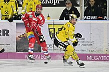 Herren, Eishockey, Oberliga-Süd, DEB, Saison 2024-2025, Deggendorfer SC - Tölzer Löwen, 22.09.2024